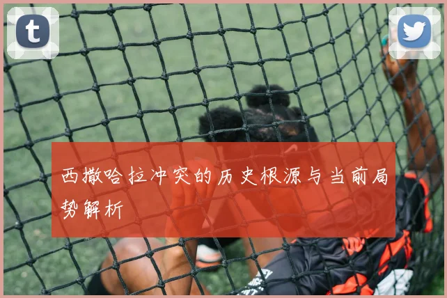 西撒哈拉冲突的历史根源与当前局势解析