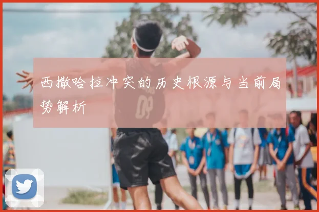 西撒哈拉冲突的历史根源与当前局势解析