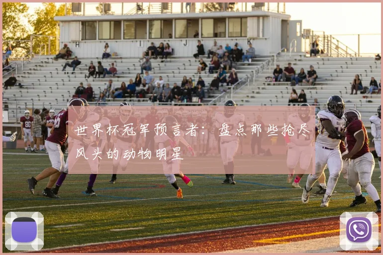 世界杯冠军预言者：盘点那些抢尽风头的动物明星