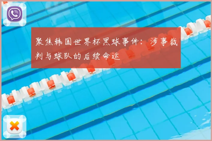 聚焦韩国世界杯黑球事件:涉事裁判与球队的后续命运