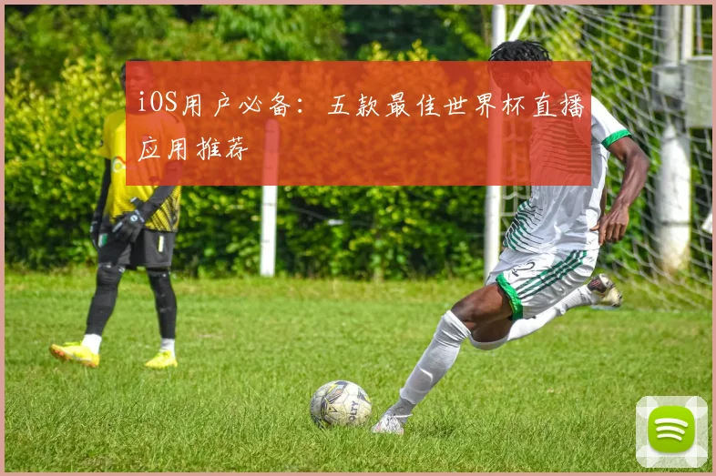 iOS用户必备：五款最佳世界杯直播应用推荐
