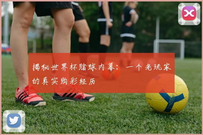 揭秘世界杯赌球内幕：一个老玩家的真实购彩经历