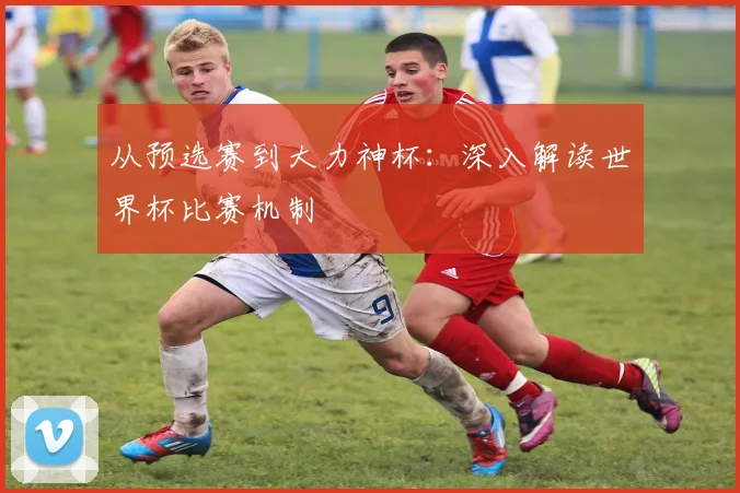 从预选赛到大力神杯：深入解读世界杯比赛机制