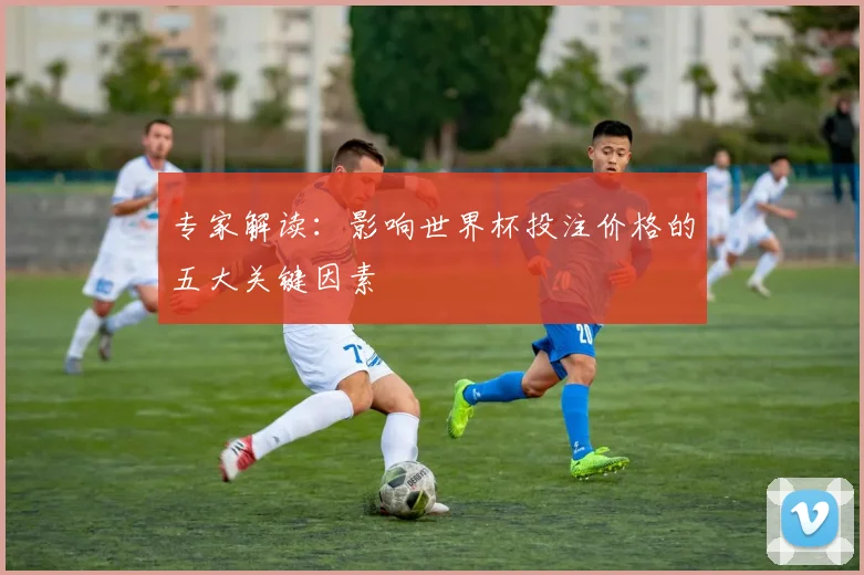 专家解读：影响世界杯投注价格的五大关键因素