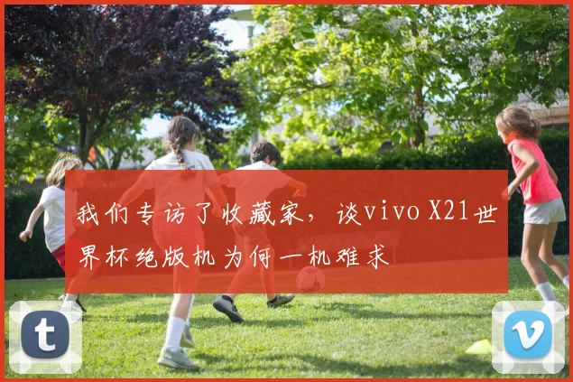 我们专访了收藏家，谈vivo X21世界杯绝版机为何一机难求