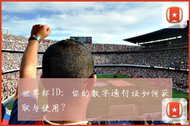 世界杯ID：你的数字通行证如何获取与使用？