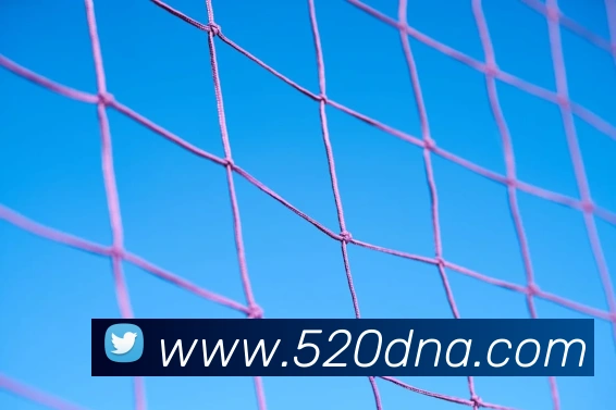 安博app下载网站平台生态图